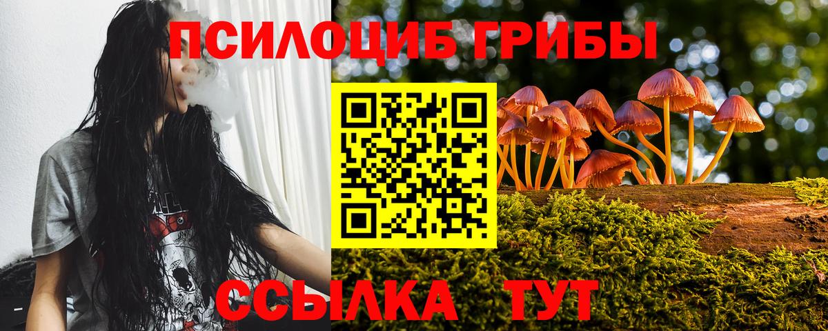 Псилоцибиновые грибы мухоморы  Вход с VPN  Зеленокумск  Галлюциногенные грибы Cubensis 