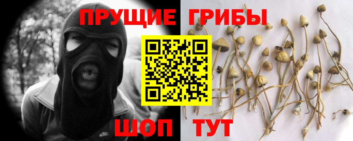 Галлюциногенные грибы Cubensis Зеленокумск